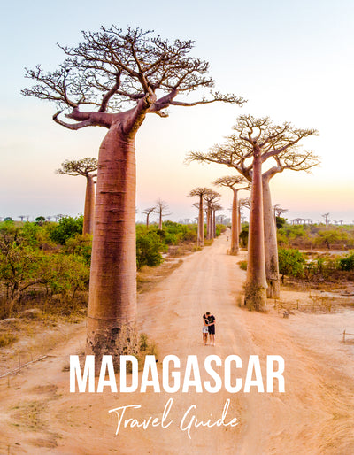 Visiting Madagascar Island and 2 geographical hotspots.